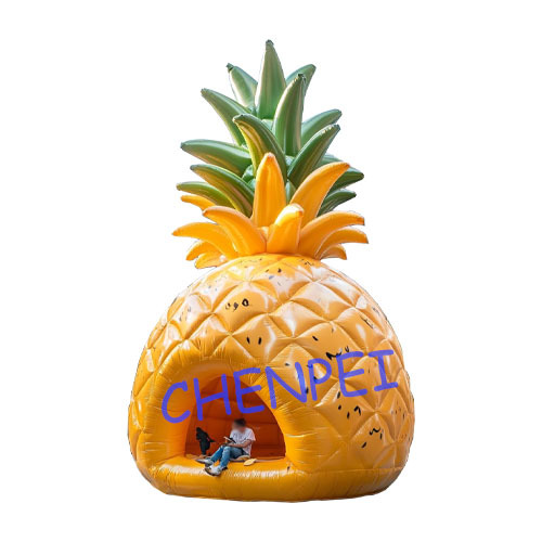 Pineapple bouncy castle for sale