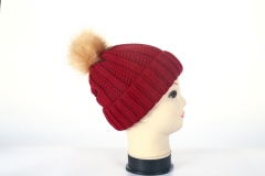 Beanie hat