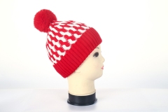 Beanie hat