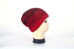 Beanie hat