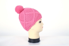 Beanie hat