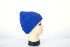 Beanie hat
