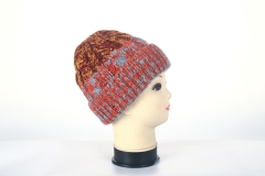 Beanie hat