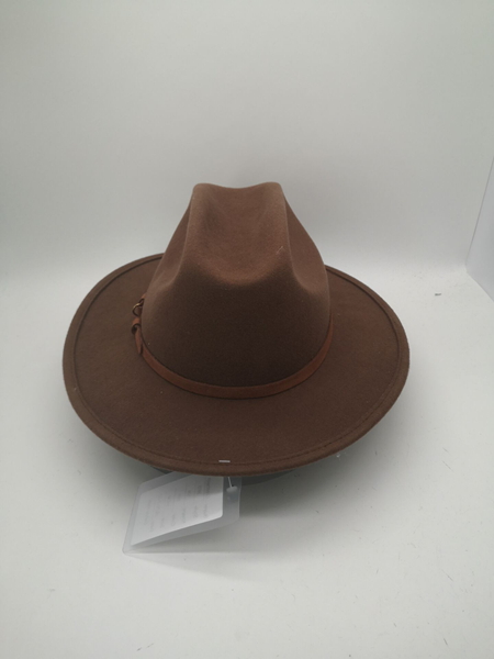 Cowboy hat