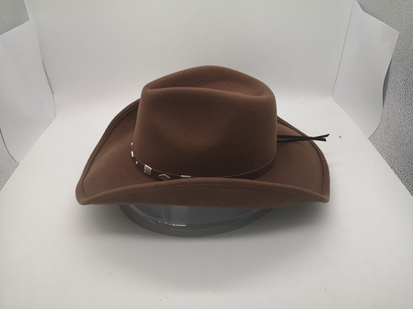 Cowboy hat