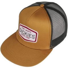 Snapback cap