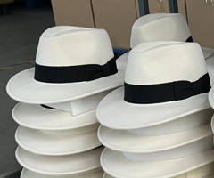 wool felt Fedora