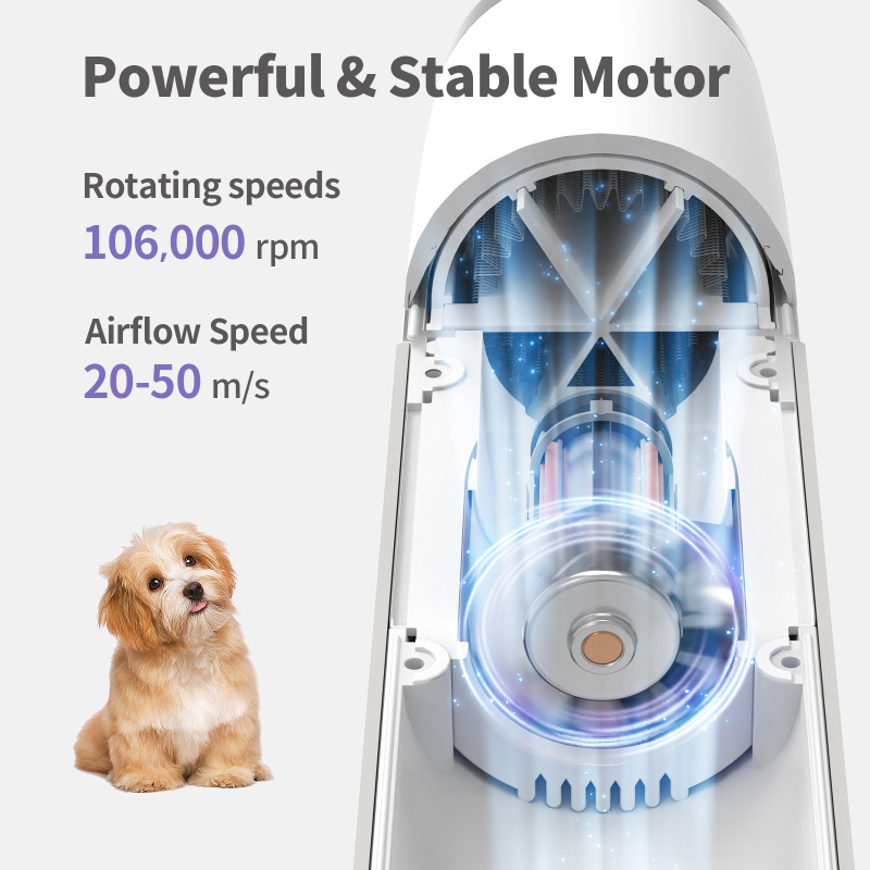 LIVEKEY Dog Dryer, Portable High Speed Professional Pet Dog Blow Dryer, Low  Noise Pet Hair Grooming