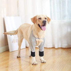 Dog Front Leg Braces, Dog Recovery Sleeve