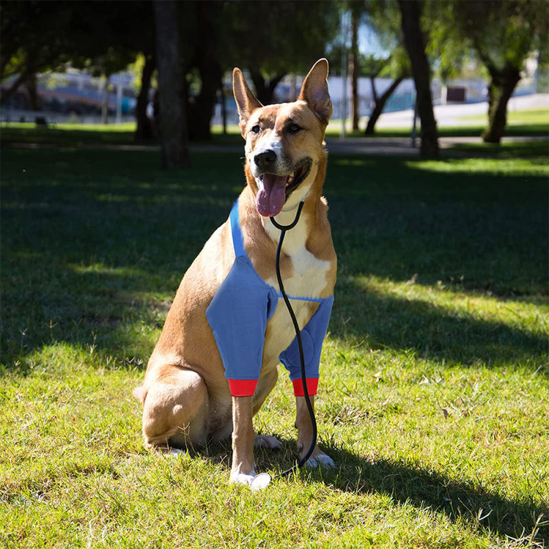 Dog Front Leg Braces, Dog Recovery Sleeve