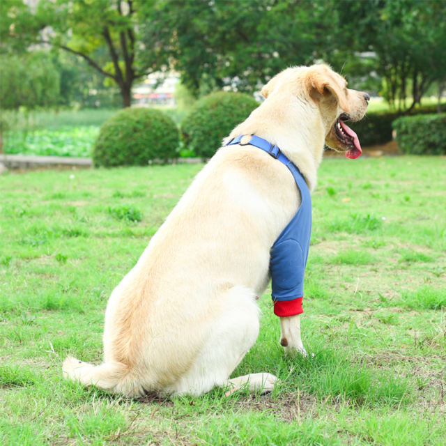 Dog Front Leg Braces, Dog Recovery Sleeve