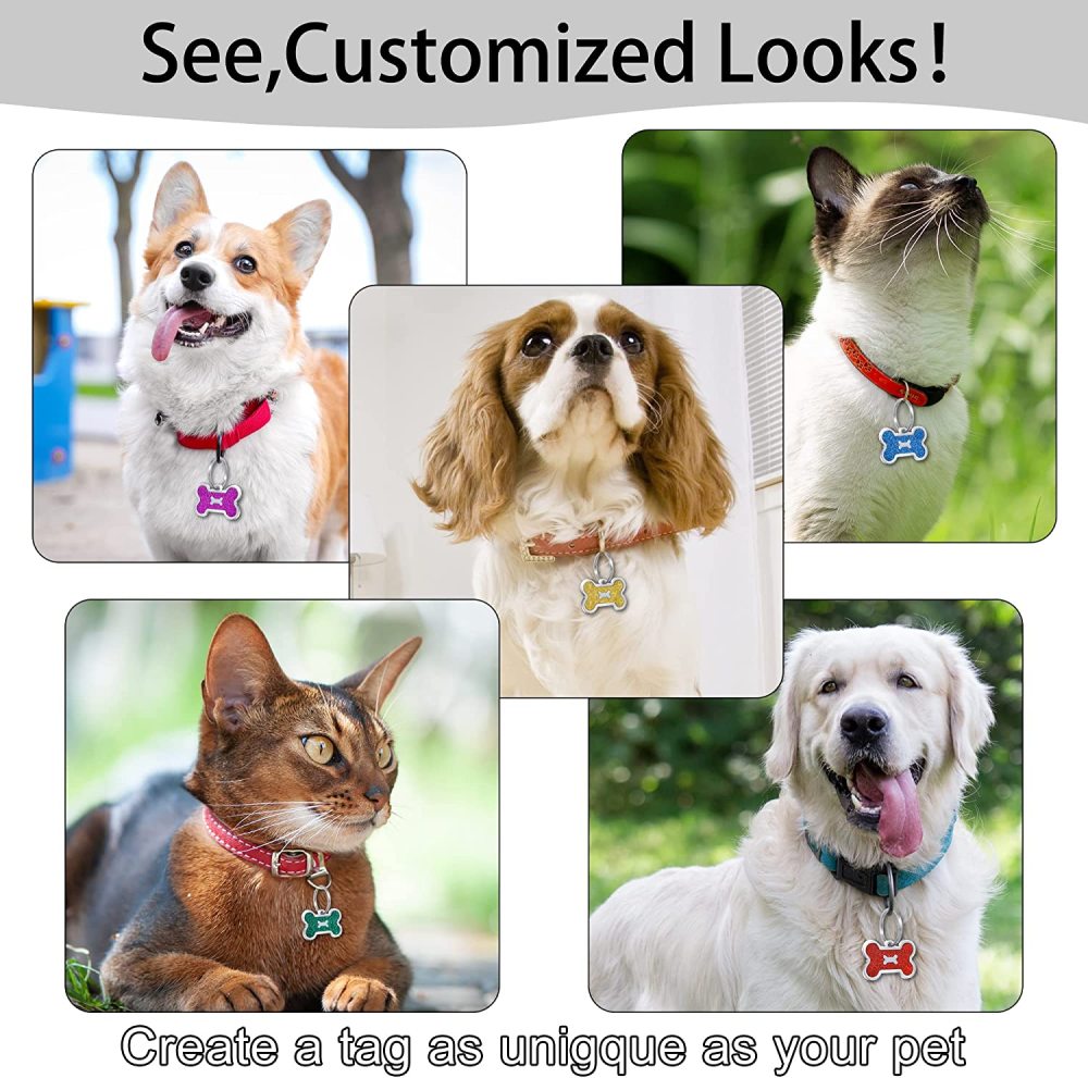 Personalized Dog Tag for Pets - Engraved Dog Name Tag - Slide On Cat ID Tags