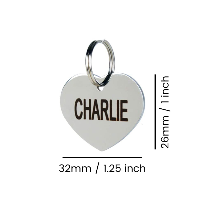 Stainless Steel Personalized Dog Tag for Pets - Engraved Dog Name Tag - Slide On Cat ID Tags