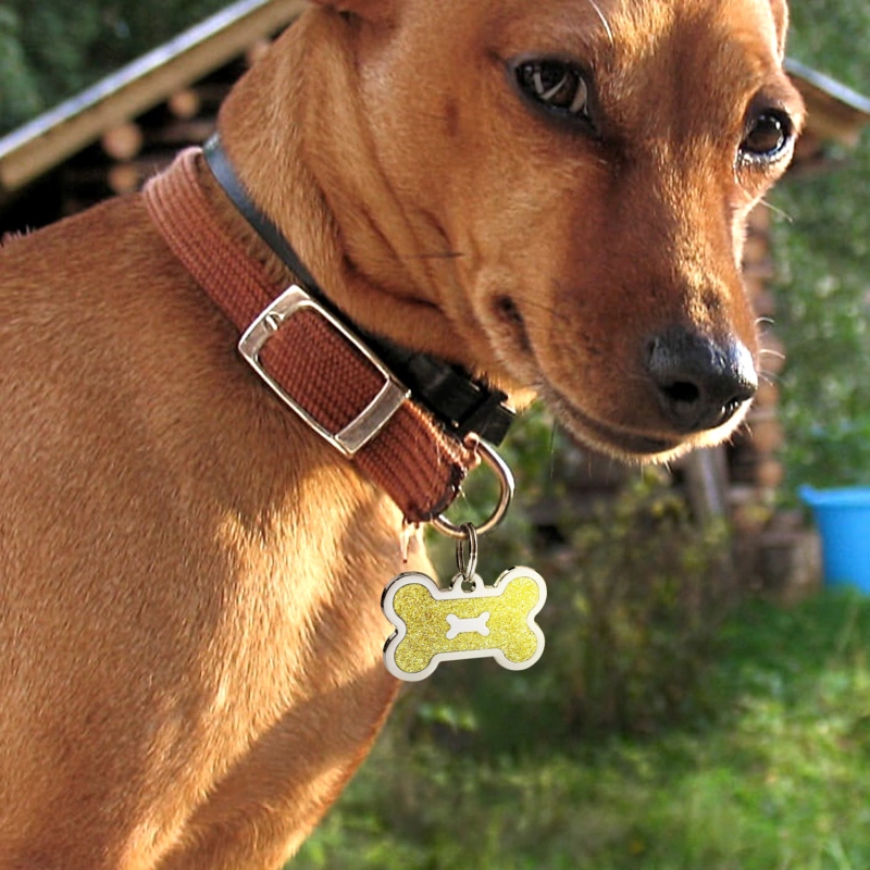 Personalized Dog Tag for Pets - Engraved Dog Name Tag - Slide On Cat ID Tags