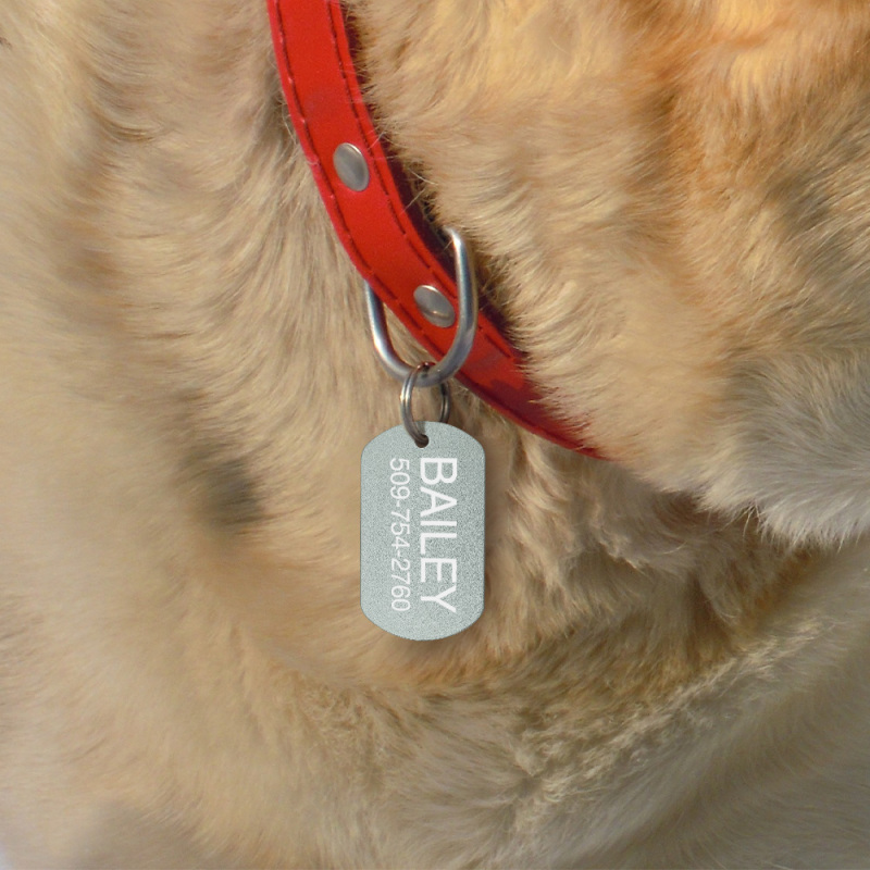 Personalized Dog Tag for Pets - Engraved Dog Name Tag - Slide On Cat ID Tags