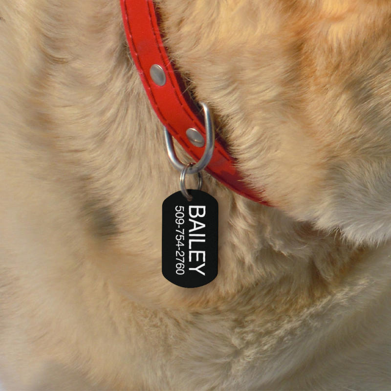 Personalized Dog Tag for Pets - Engraved Dog Name Tag - Slide On Cat ID Tags