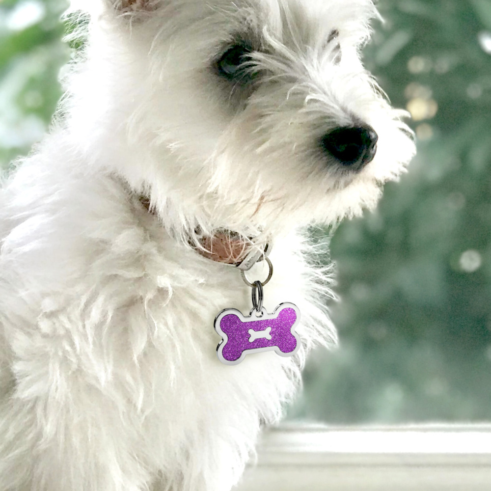 Personalized Dog Tag for Pets - Engraved Dog Name Tag - Slide On Cat ID Tags