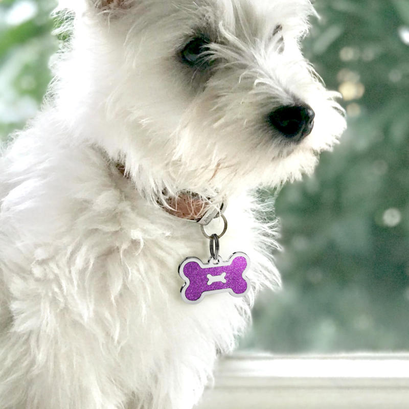Personalized Dog Tag for Pets - Engraved Dog Name Tag - Slide On Cat ID Tags