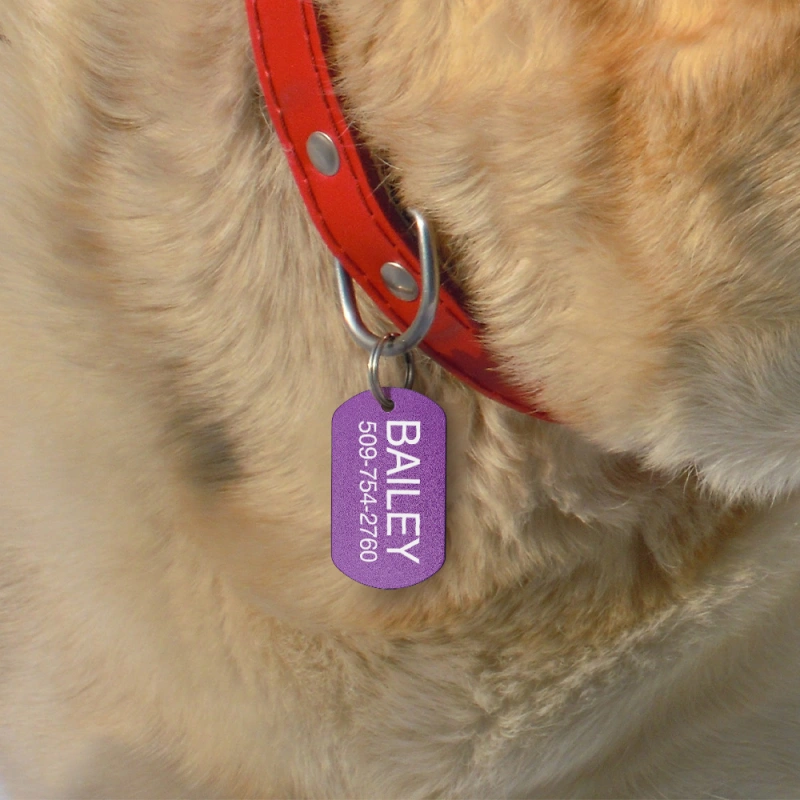 Personalized Dog Tag for Pets - Engraved Dog Name Tag - Slide On Cat ID Tags