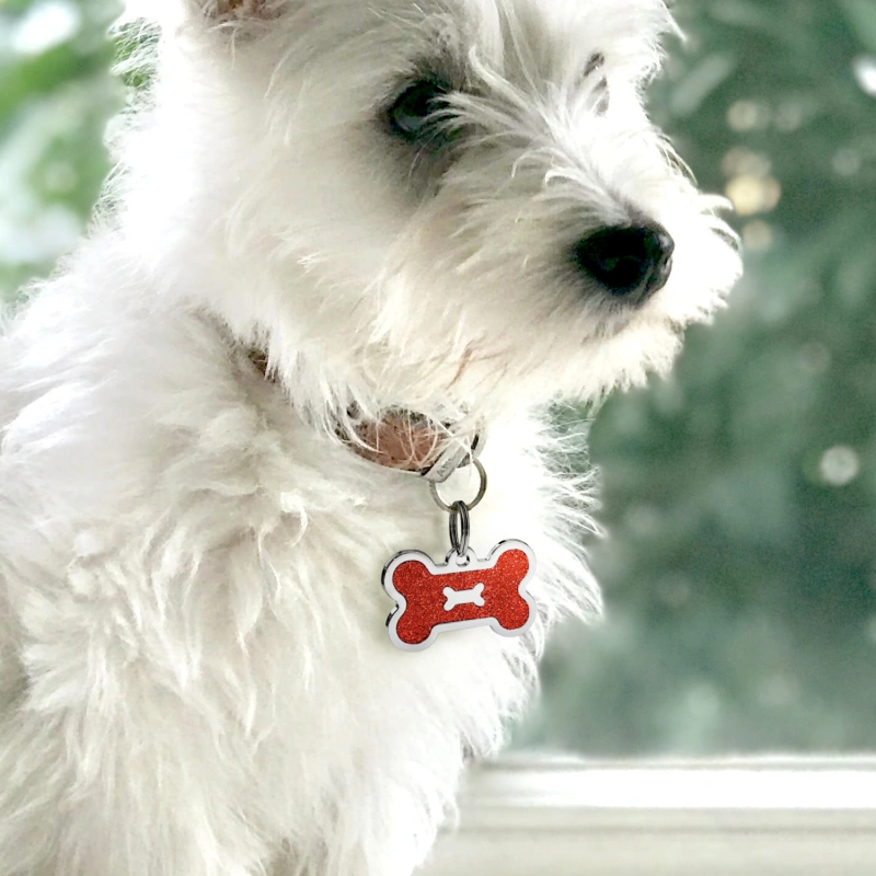 Personalized Dog Tag for Pets - Engraved Dog Name Tag - Slide On Cat ID Tags