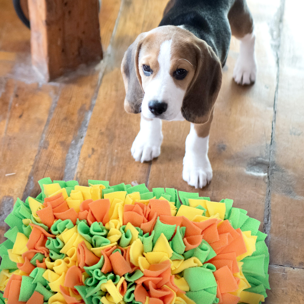 LIVEKEY Pet Snuffle Mat for Dogs, Dog Feeding Mat, Nosework Training Mats for Foraging Instinct Interactive Puzzle Toys (Orange&Green&Yellow)