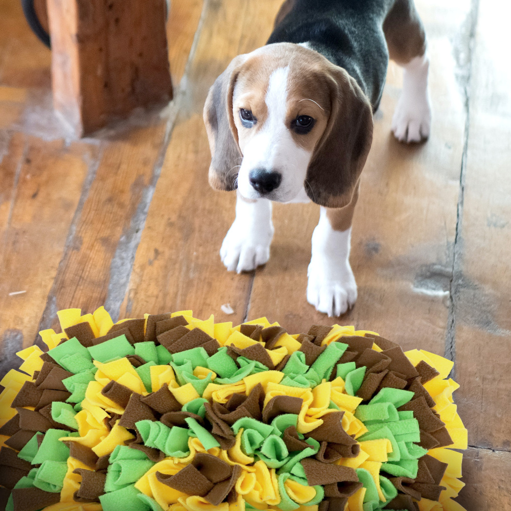 LIVEKEY Pet Snuffle Mat for Dogs, Dog Feeding Mat, Nosework Training Mats for Foraging Instinct Interactive Puzzle Toys (Yellow&Brown&Green)