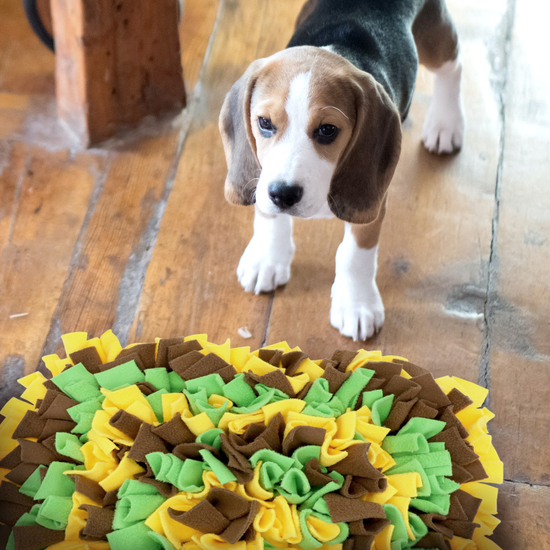 LIVEKEY Pet Snuffle Mat for Dogs, Dog Feeding Mat, Nosework Training Mats for Foraging Instinct Interactive Puzzle Toys (Yellow&amp;Brown&amp;Green)