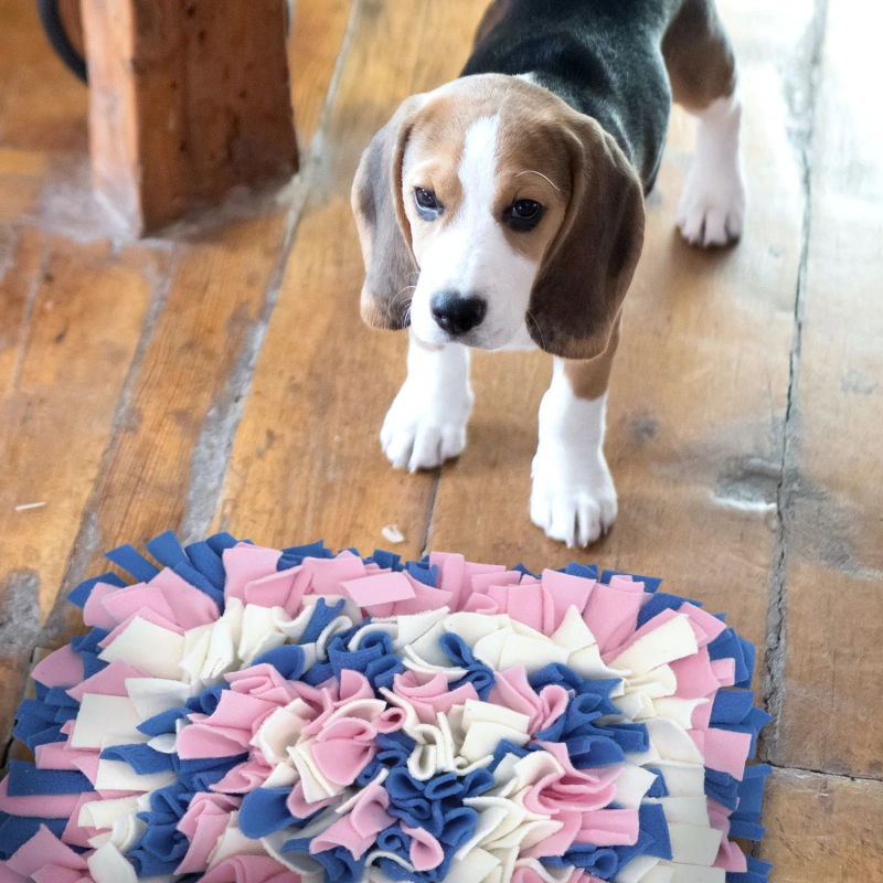 LIVEKEY Pet Snuffle Mat for Dogs, Dog Feeding Mat, Nosework Training Mats for Foraging Instinct Interactive Puzzle Toys (Blue&Pink&White)