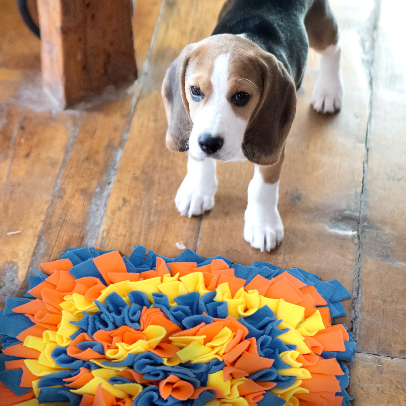 LIVEKEY Pet Snuffle Mat for Dogs, Dog Feeding Mat, Nosework Training Mats for Foraging Instinct Interactive Puzzle Toys (Blue&Orange&Yellow)