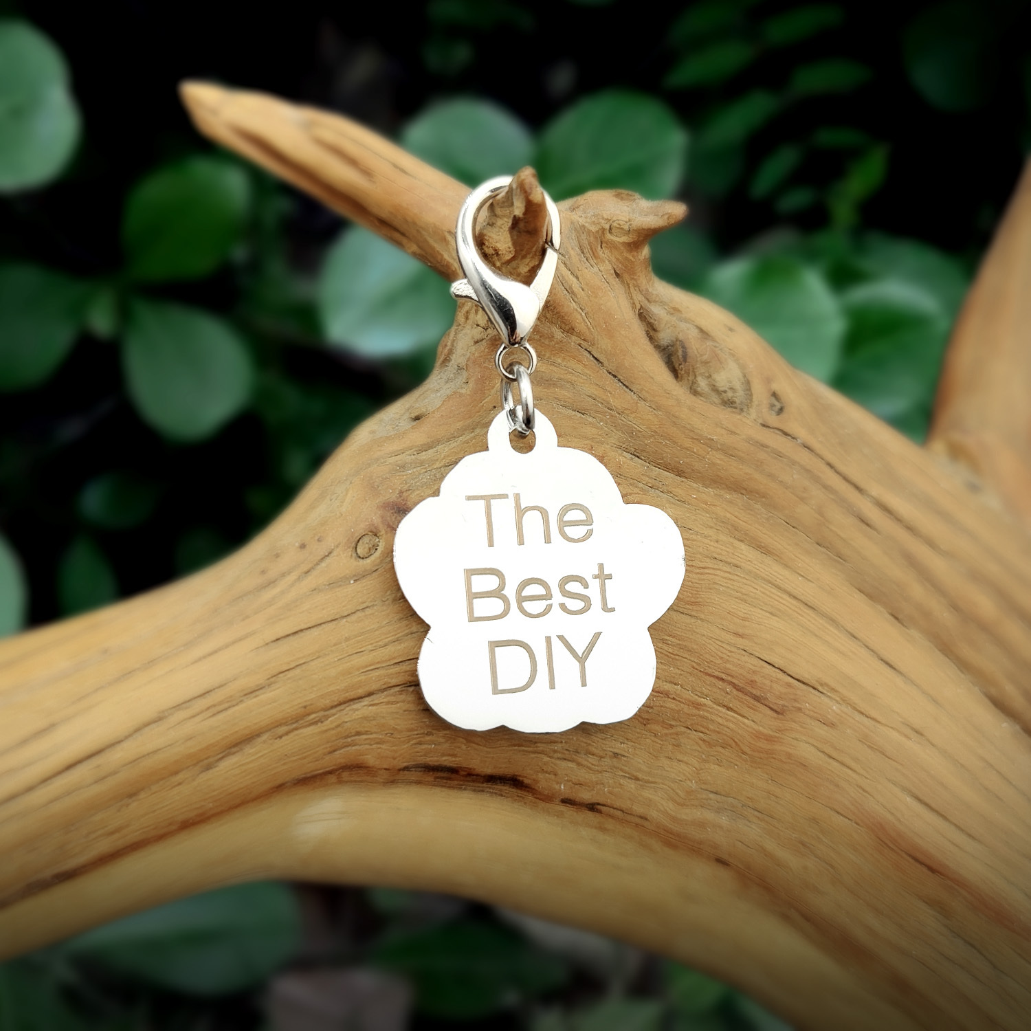 Custom Engraved Dog & Cat ID Tags - Personalize with Your Pet's Name!