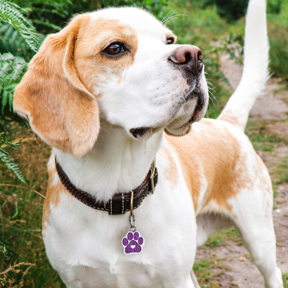 Customizable Pet ID Tag with Adorable Paw Print Charm for Stylish Bracelets and Necklaces - Keep Your Furry Friend Safe and Fashionable!
