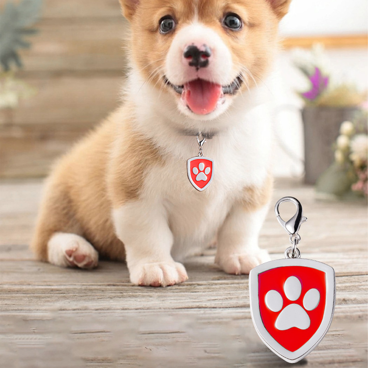 Custom Engraved Dog & Cat ID Tags - Personalize with Your Pet's Name!