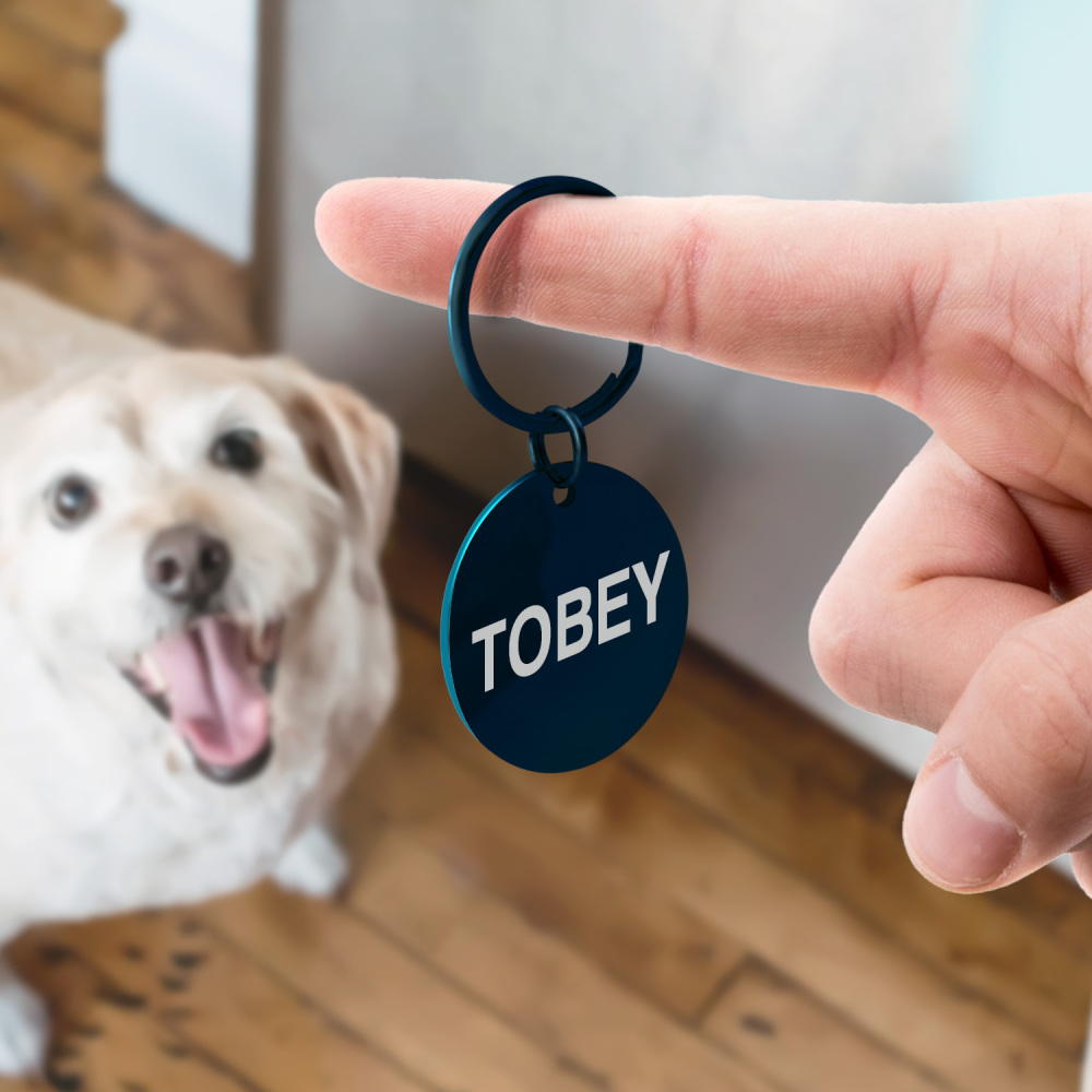 Custom Engraved Dog & Cat ID Tags - Personalize with Your Pet's Name!