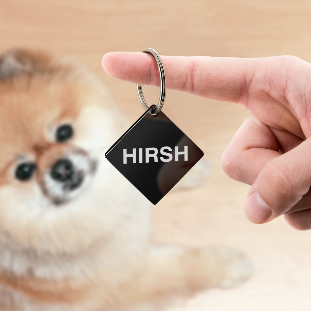 Custom Engraved Dog & Cat ID Tags - Personalize with Your Pet's Name!