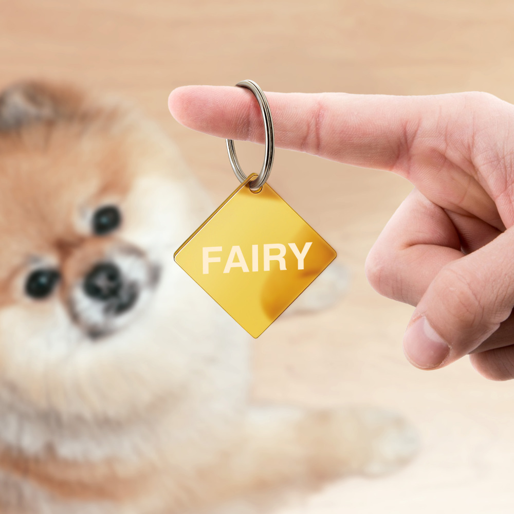 Custom Engraved Dog & Cat ID Tags - Personalize with Your Pet's Name!