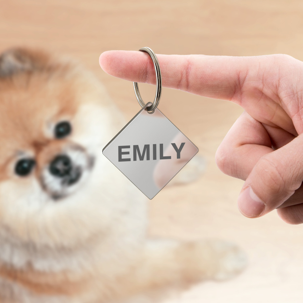 Custom Engraved Dog & Cat ID Tags - Personalize with Your Pet's Name!