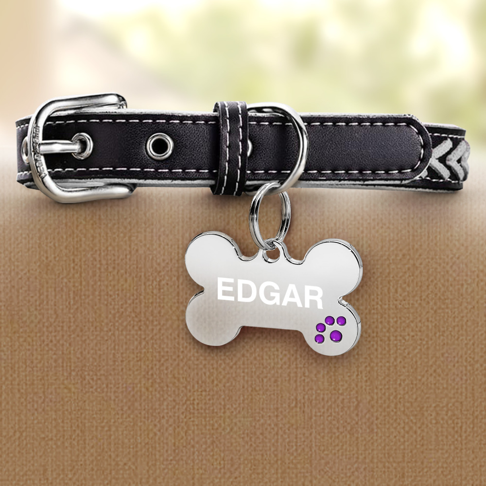 Custom Engraved Dog & Cat ID Tags - Personalize with Your Pet's Name!