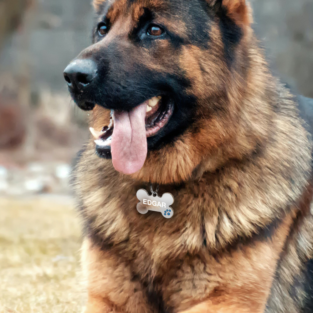 Custom Engraved Dog & Cat ID Tags - Personalize with Your Pet's Name!