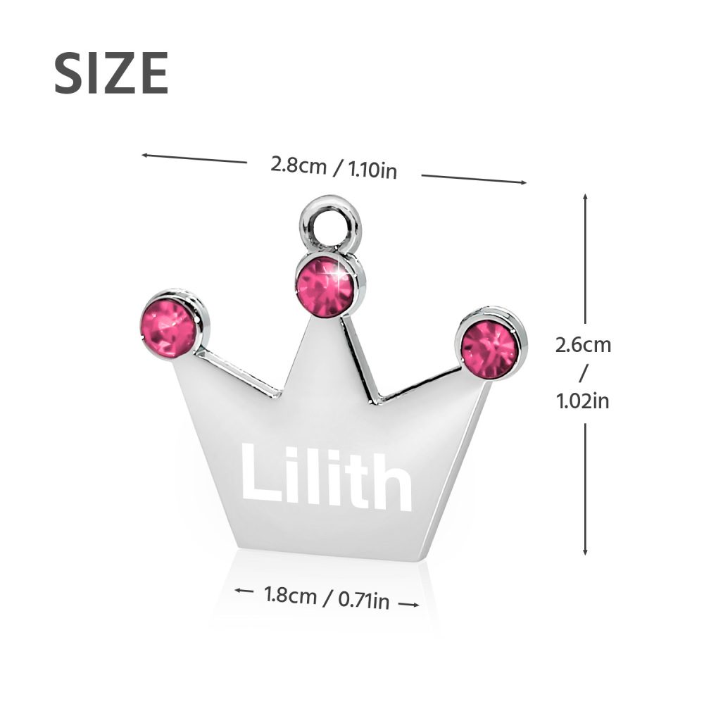 Custom Engraved Dog & Cat ID Tags - Personalize with Your Pet's Name!