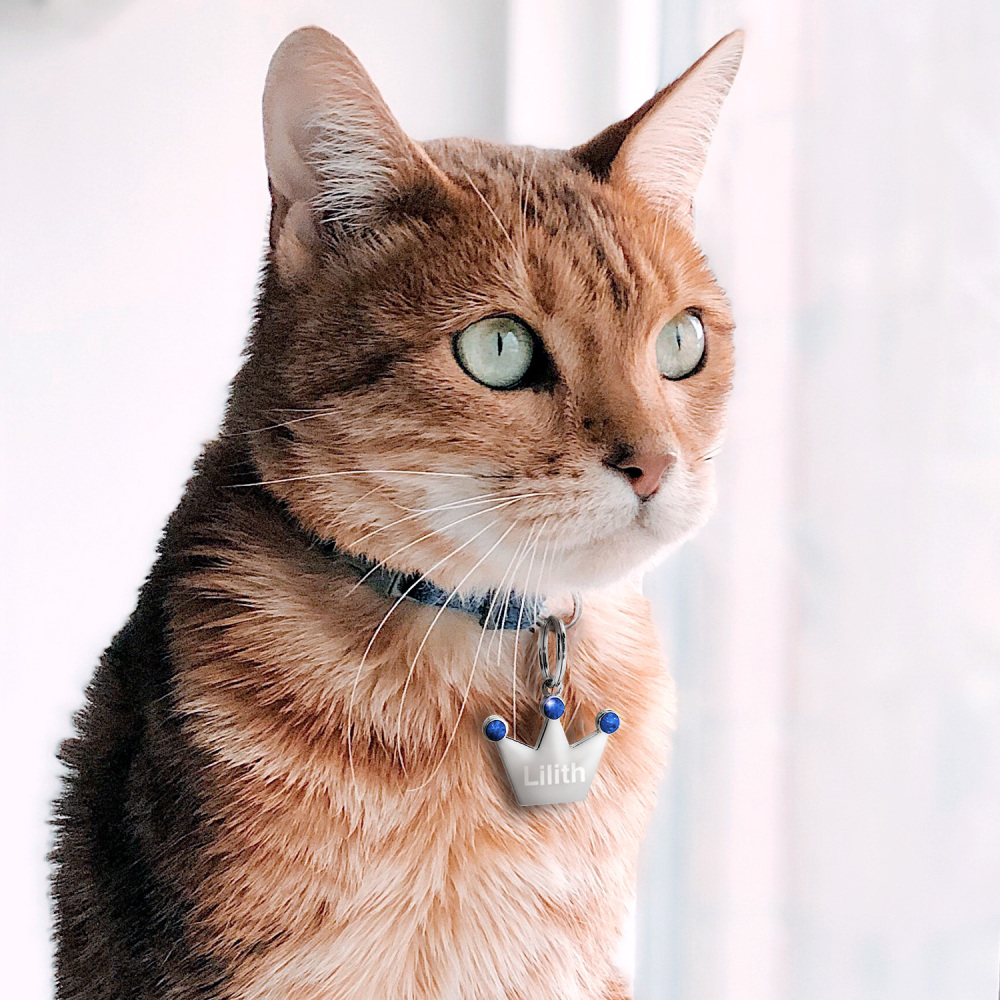 Custom Engraved Dog & Cat ID Tags - Personalize with Your Pet's Name!