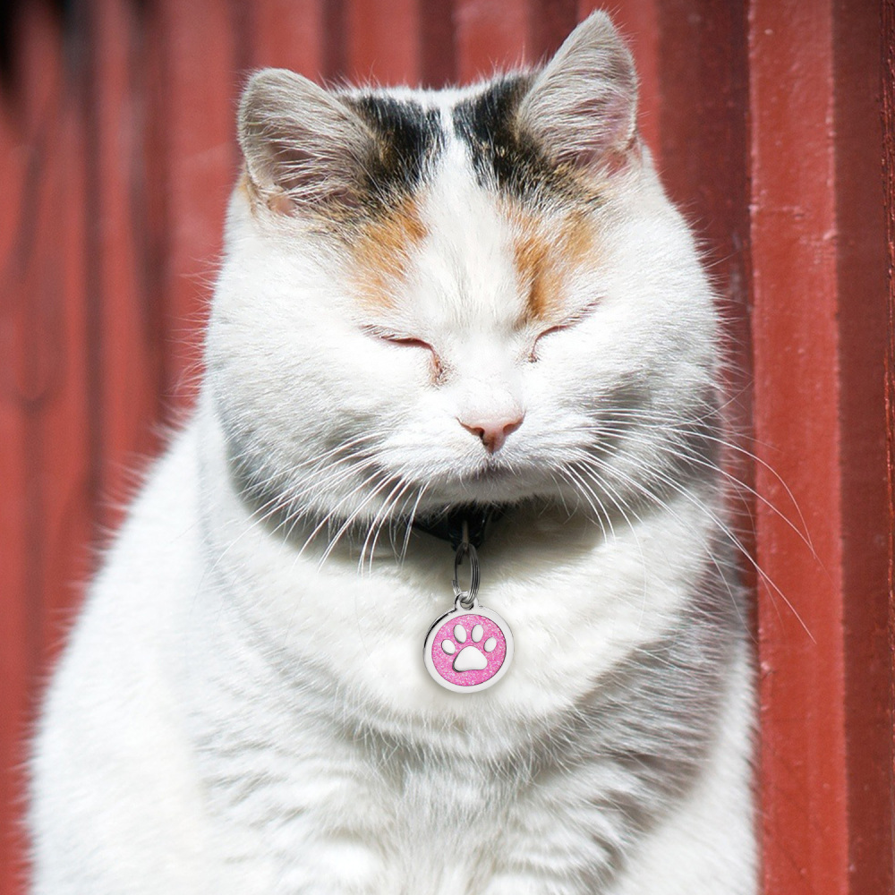 Custom Engraved Dog & Cat ID Tags - Personalize with Your Pet's Name!