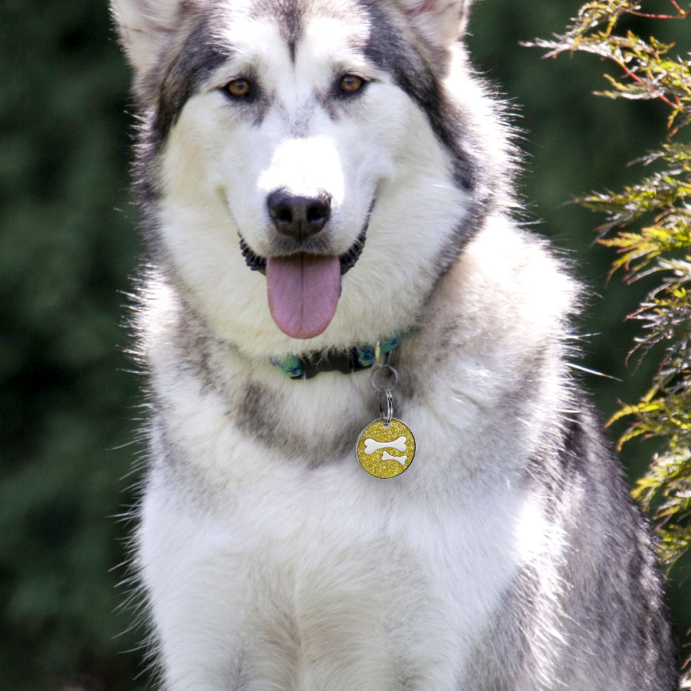 Custom Engraved Dog & Cat ID Tags - Personalize with Your Pet's Name!