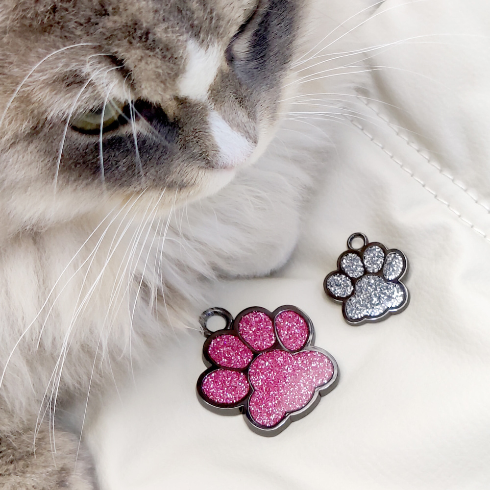 Personalized Dog Tag for Pets - Engraved Dog Name Tag - Slide On Cat ID Tags