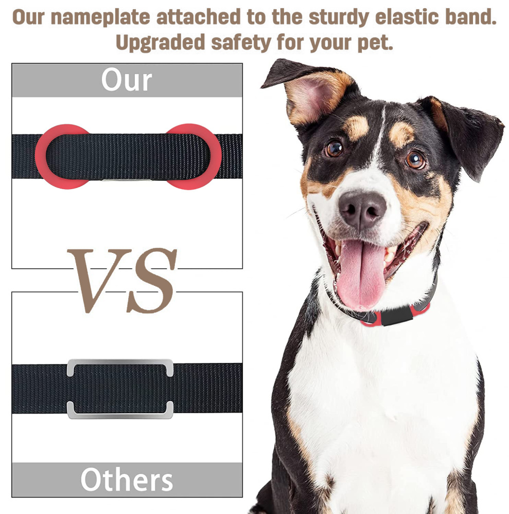 Personalized Dog Tag for Pets - Engraved Dog Name Tag - Slide On Cat ID Tags