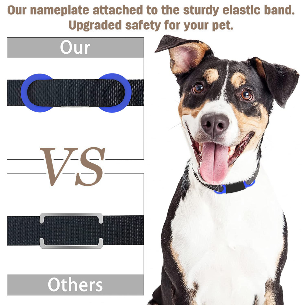 Personalized Dog Tag for Pets - Engraved Dog Name Tag - Slide On Cat ID Tags