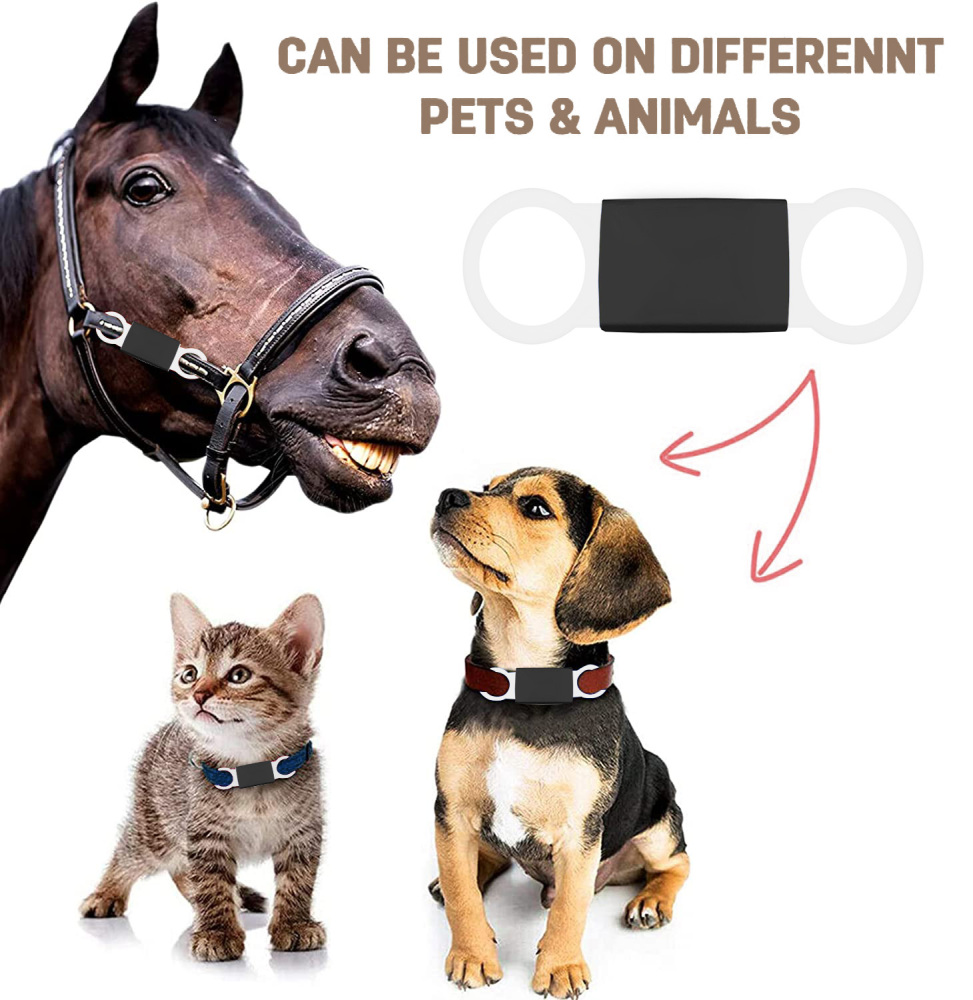 Personalized Dog Tag for Pets - Engraved Dog Name Tag - Slide On Cat ID Tags