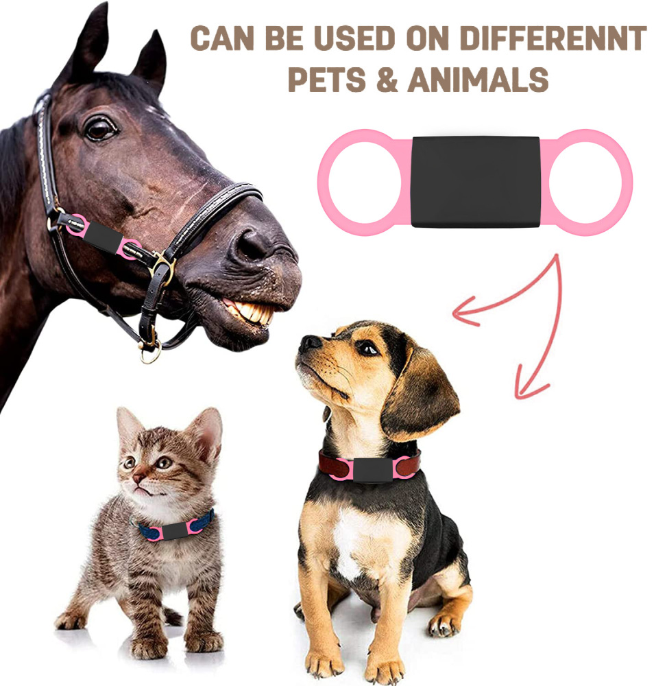Personalized Dog Tag for Pets - Engraved Dog Name Tag - Slide On Cat ID Tags