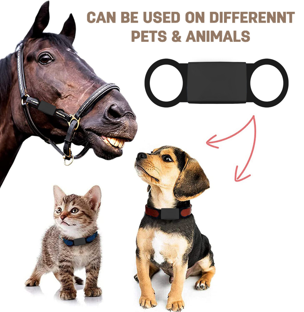 Personalized Dog Tag for Pets - Engraved Dog Name Tag - Slide On Cat ID Tags