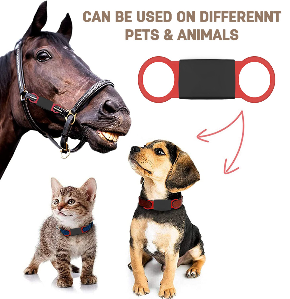 Personalized Dog Tag for Pets - Engraved Dog Name Tag - Slide On Cat ID Tags