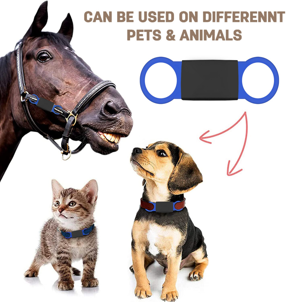 Personalized Dog Tag for Pets - Engraved Dog Name Tag - Slide On Cat ID Tags